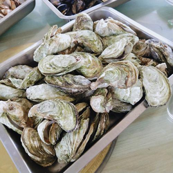 天堂岛av多平台支持